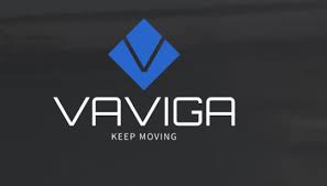 Vaviga